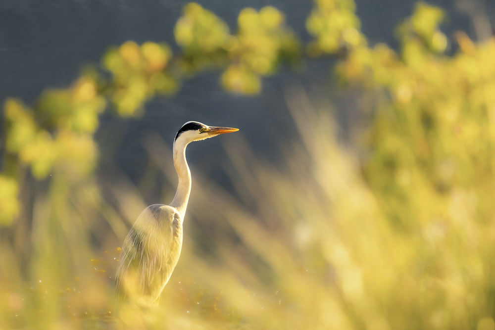 Platz 3 Conny Kleiner (2)